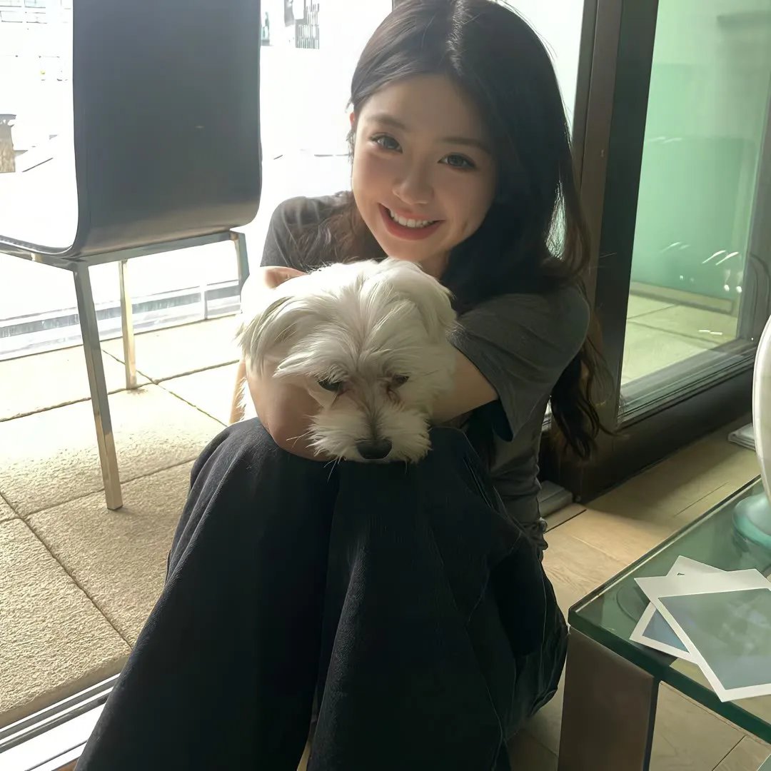 败犬女王粤语